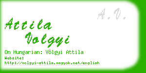 attila volgyi business card